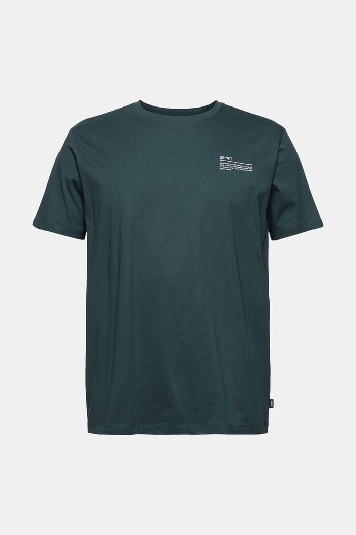 Printtikuvioitu jersey-t-paita, 100 % luomupuuvillaa, TEAL BLUE, overview