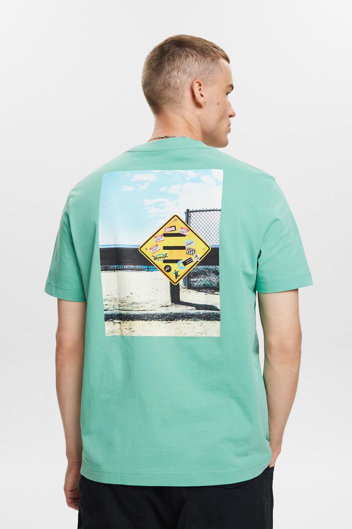Graafinen t-paita puuvillajerseytä, DUSTY GREEN, detail image number 2