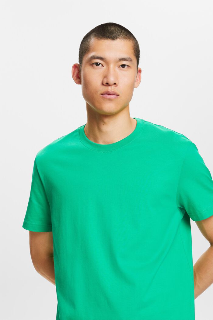 T-paita pyöreällä pääntiellä pima-puuvillaa, GREEN, detail image number 4