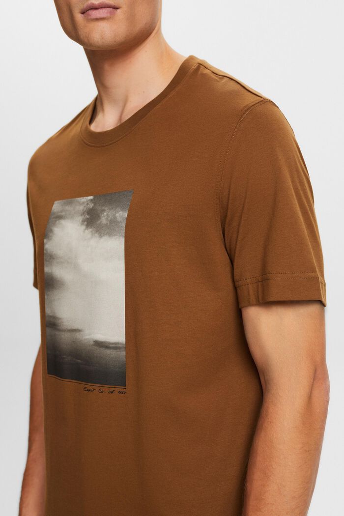 Painokuvioitu t-paita luomupuuvillaa, BARK, detail image number 1