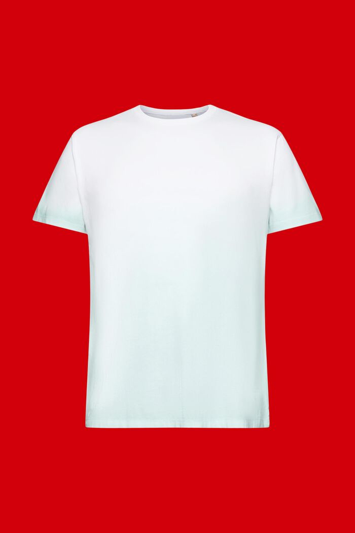 Kaksisävyinen, haalistuvasti värjätty T-paita, LIGHT AQUA GREEN, detail image number 6