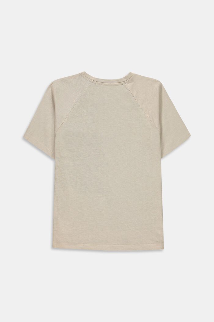 Sisältää pellavaa: oversize-mallinen väripalkki-t-paita, SILVER, detail image number 1