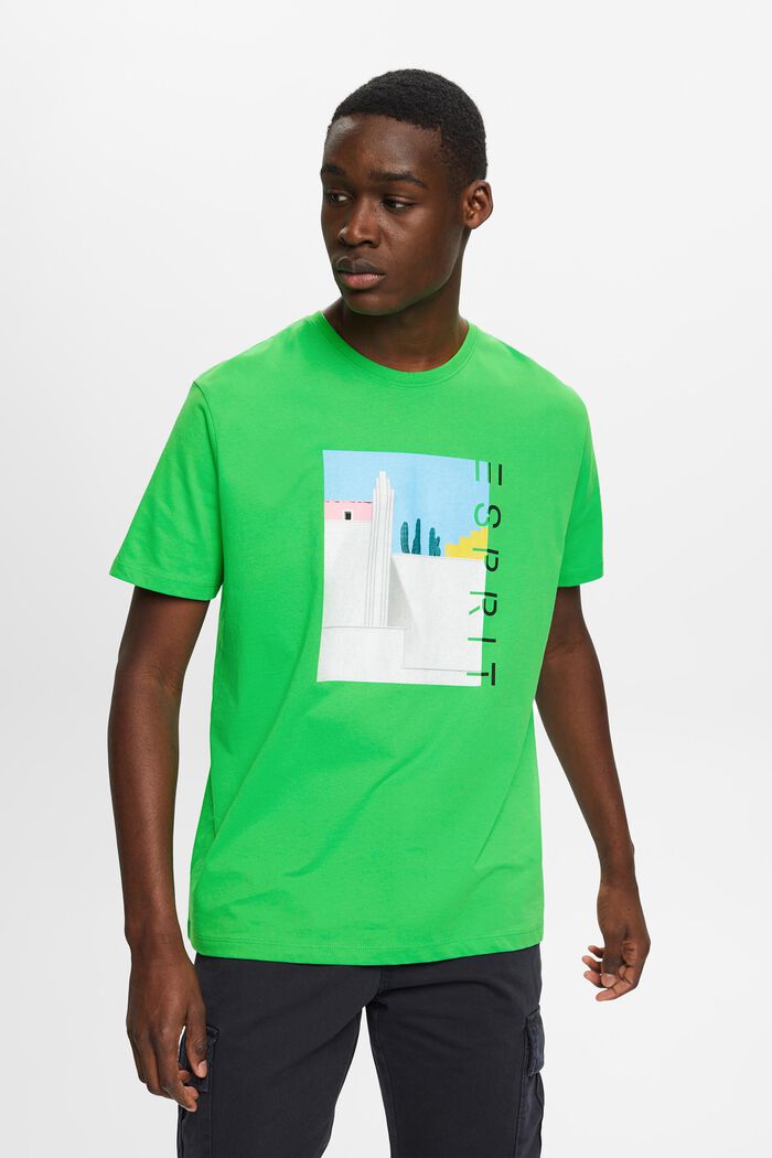 Puuvillainen t-paita, jossa printti edessä, GREEN, detail image number 0