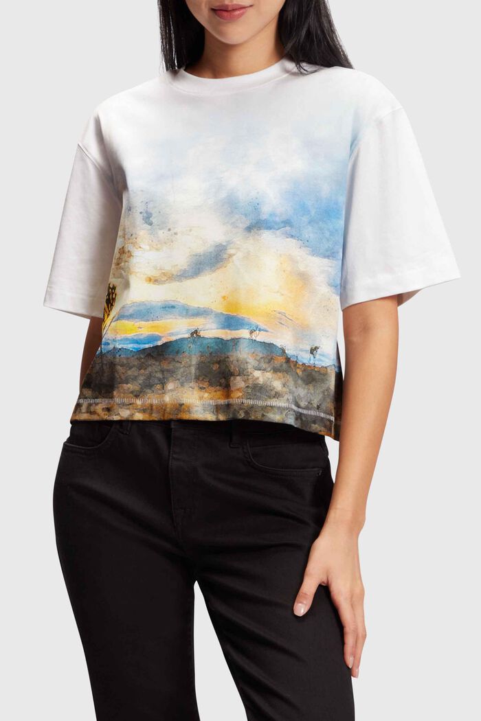Vajaapituinen t-paita, jonka etuosassa maisemaprintti, WHITE, detail image number 0
