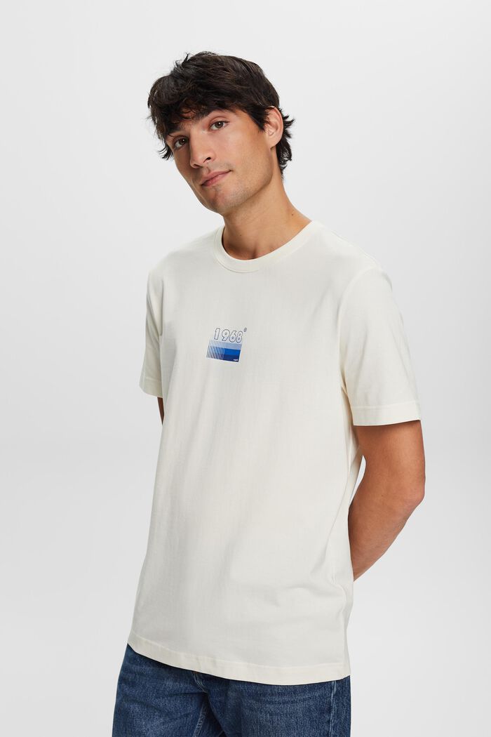 Painokuvioitu jersey-T-paita 100 % puuvillaa, ICE, detail image number 0