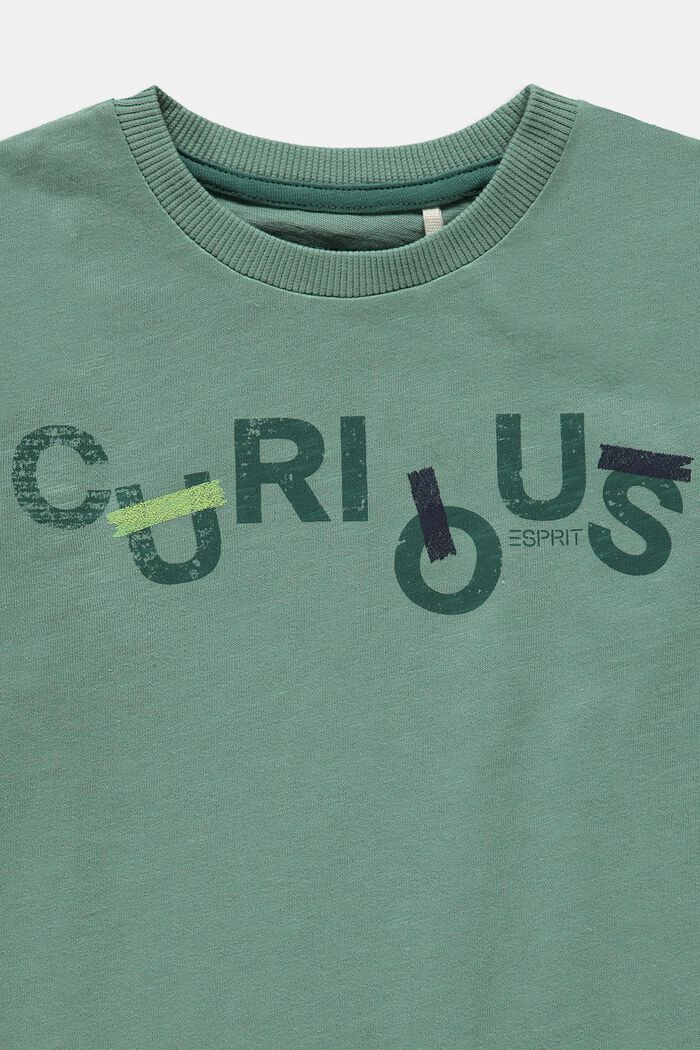 Painettu, pitkähihainen paita, DUSTY GREEN, detail image number 1