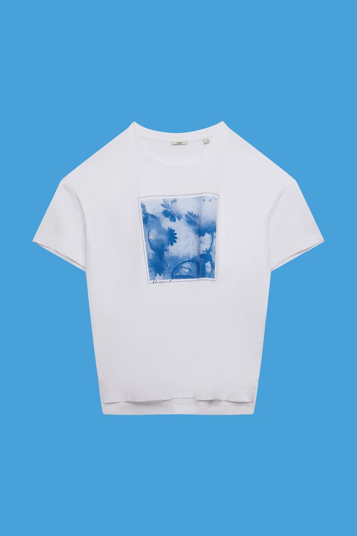 CURVY puuvillainen t-paita etupainatuksella, WHITE, detail image number 0