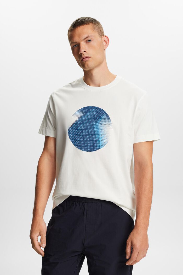 T-paita, jossa etupainatus, 100 % puuvillaa, ICE, detail image number 0