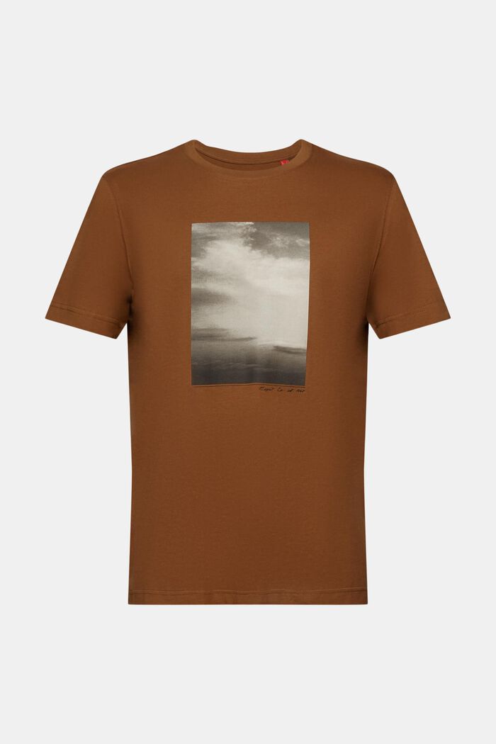 Painokuvioitu t-paita luomupuuvillaa, BARK, detail image number 6
