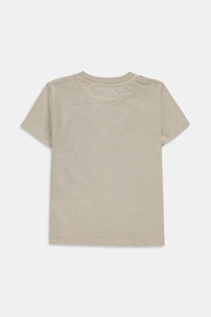Sisältää pellavaa: väripalkki-t-paita, SILVER, detail image number 1