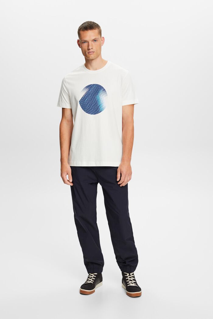 T-paita, jossa etupainatus, 100 % puuvillaa, ICE, detail image number 1