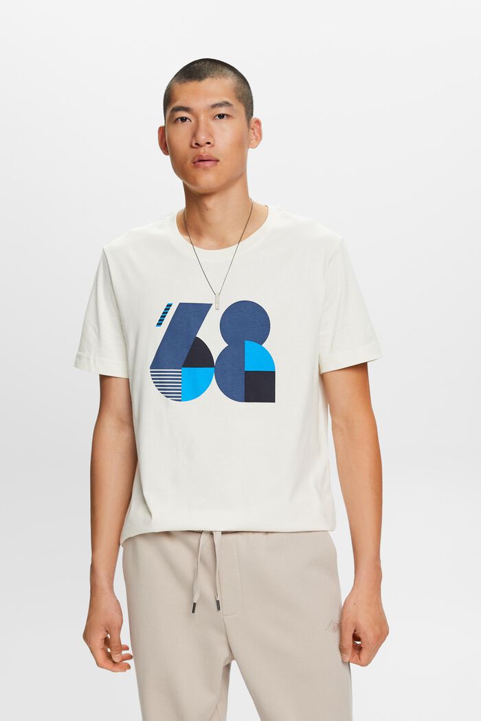Painokuvioitu jersey-T-paita 100 % puuvillaa, ICE, detail image number 2